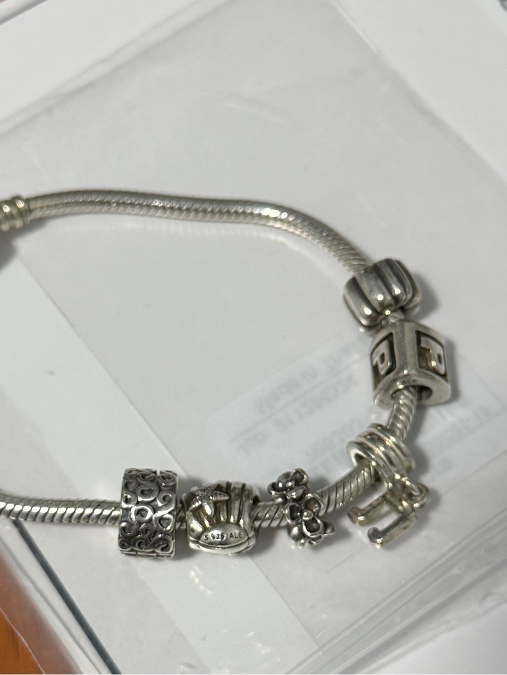 Pandora Charm Bracelet - Picture 3 of 3